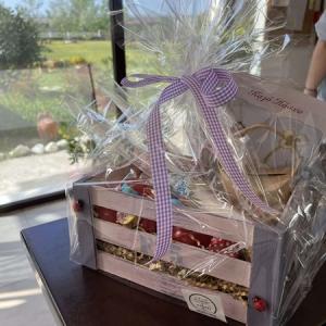 490996743 634126429617339 5640938836973228327 N