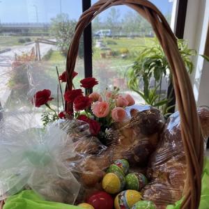 491022749 646854798166351 6602320765324413994 N