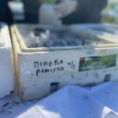  21 20220419 1125124929