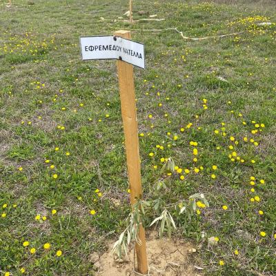  8 20220413 1067228231